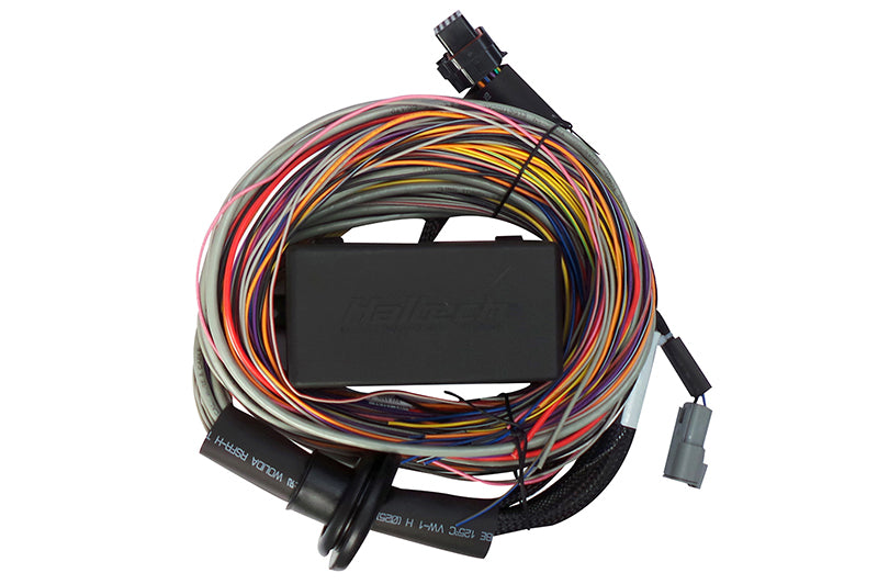 Haltech Elite 750 Premium Universal Wire-in Harness 2.5m (8')