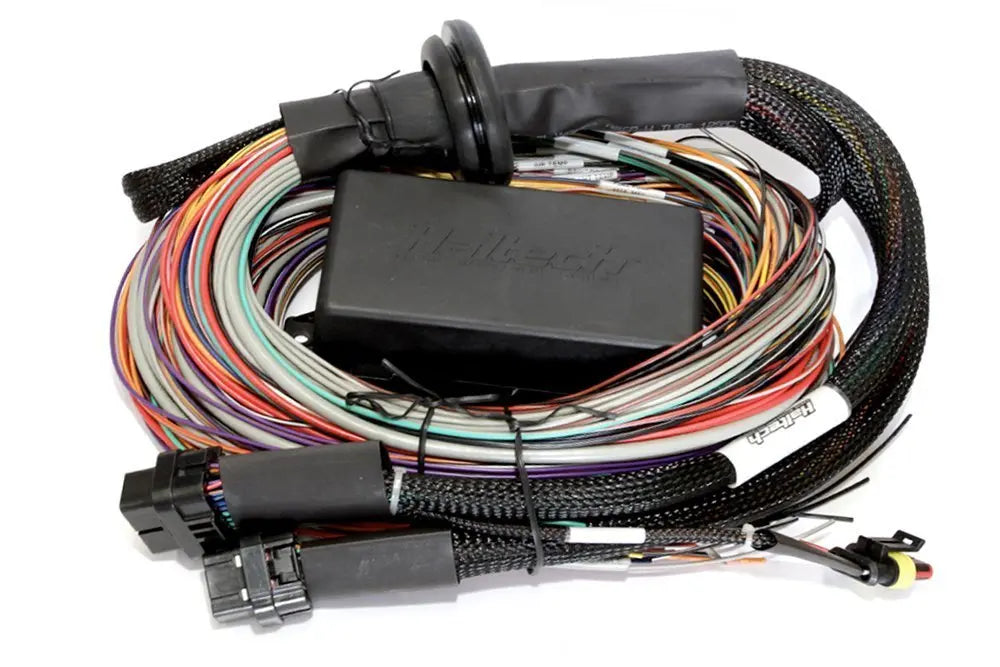 Haltech Elite 2500 - 5.0m (16 Ft) Premium Uni Wire-in Harness Only