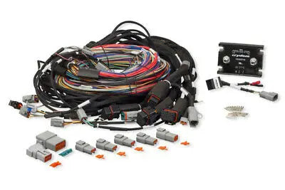 Haltech Elite 2500 & Race Expans Module (REM) Integrated Harn Only