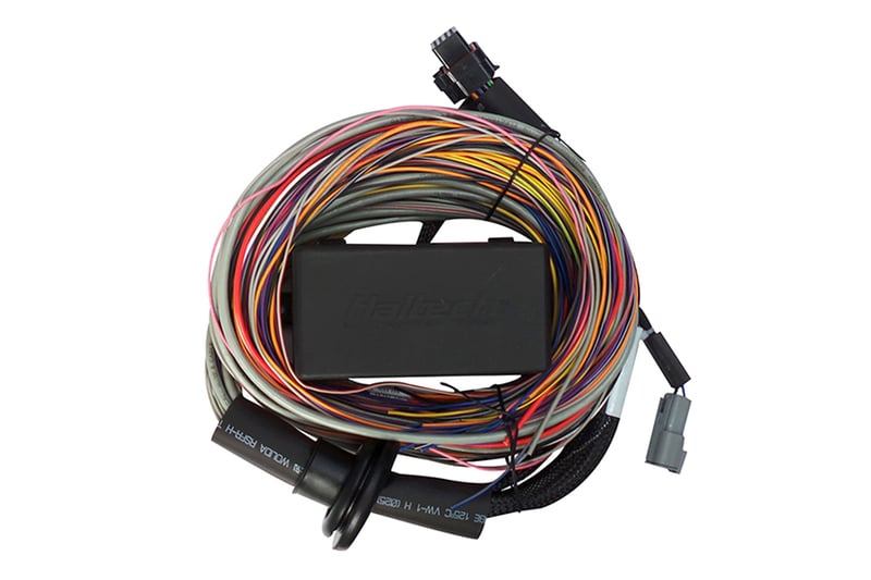 Haltech Elite 750 + Premium Universal Wire-in Harness Kit 2.5m (8')