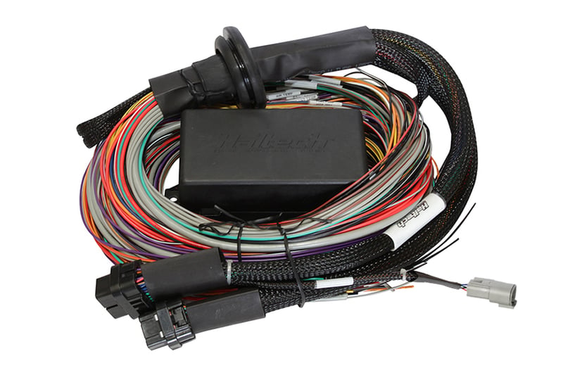 Haltech Elite 1500 + Premium Uni Wire-in Harness Kit 2.5m (8')