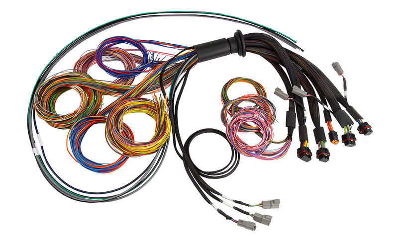 Haltech Nexus R5 Basic Universal Wire-In Harness- 5M (16')