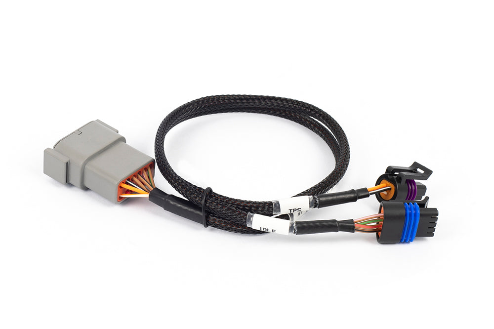 Nexus Rebel LS - Cable Throttle + IAC sub-harness