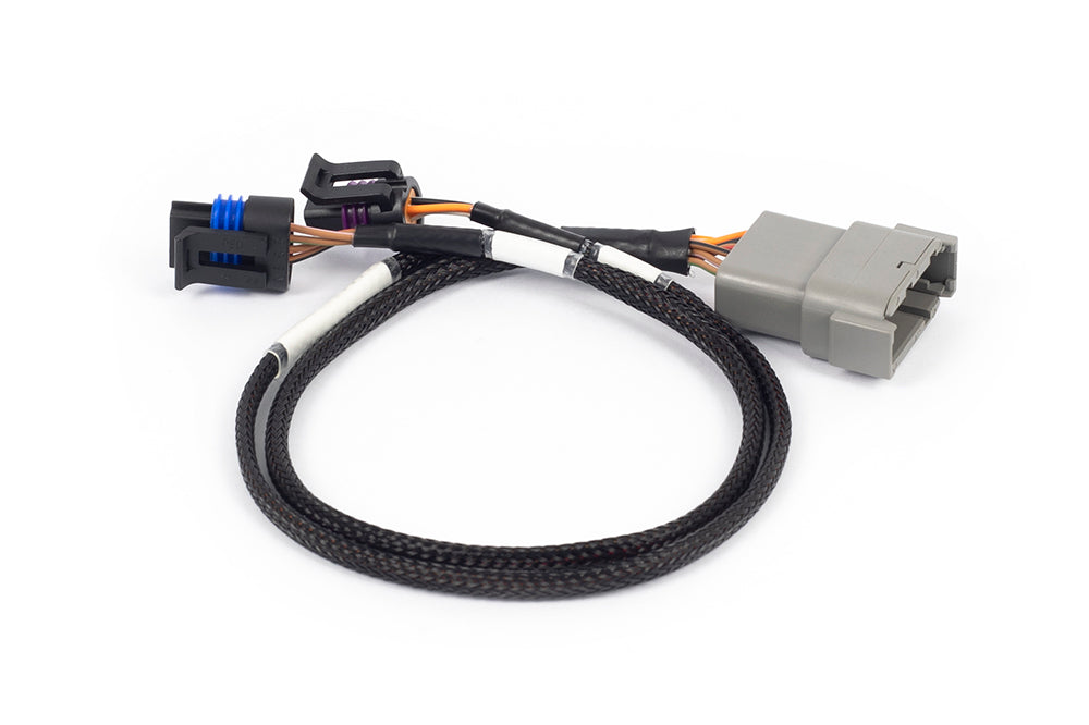 Nexus Rebel LS - Cable Throttle + IAC sub-harness