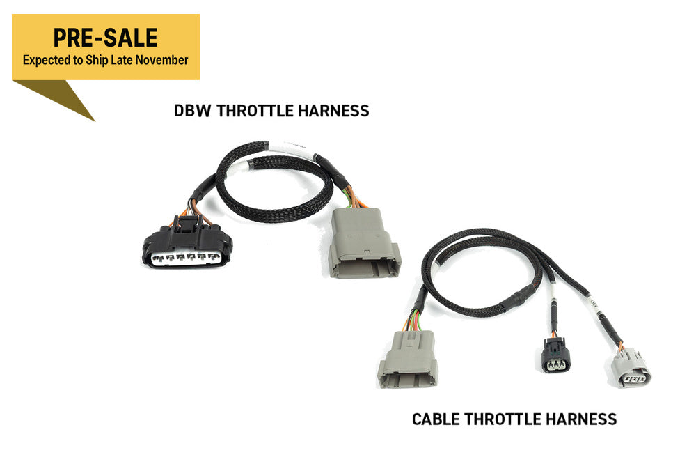 Haltech NEXUS Rebel K ECU kit HT-220206