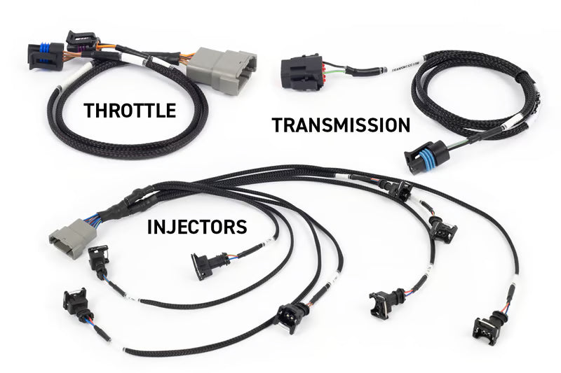 Haltech Rebel LS Kit - Suits Gen III - Cable throttle, EV1, Manual Transmission