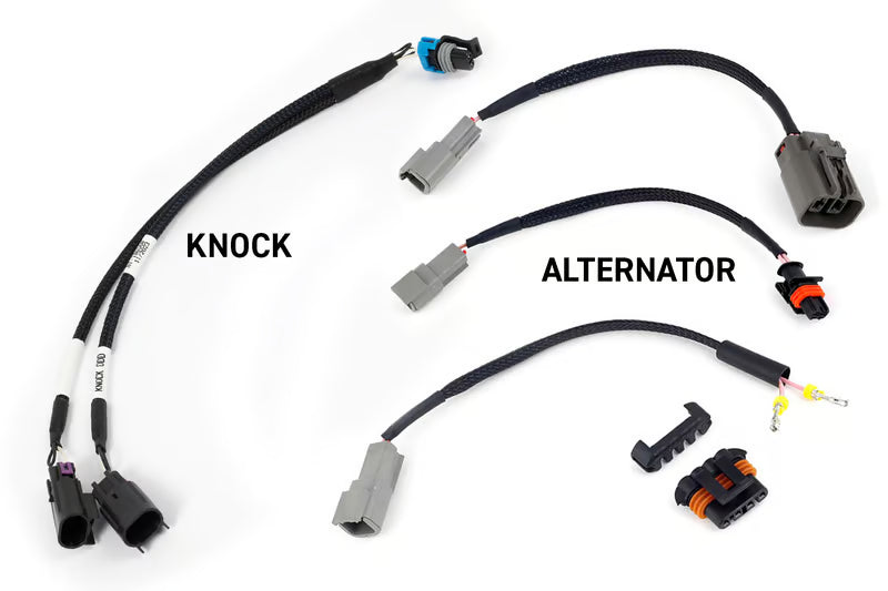 Haltech Rebel LS Kit - Suits Gen III - Cable throttle, EV1, Manual Transmission