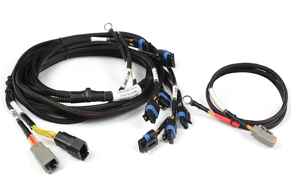 Haltech Nexus V8 Ignition-1A GM/Chrysler Harness