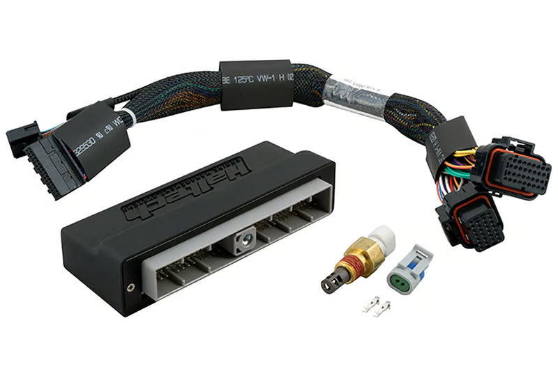 Haltech Elite 2000/2500 Plug 'n' Play Adapter Harness Only - Nissan Skyline R34 GTT