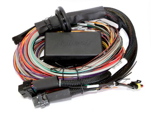 Haltech Elite 2500 - 2.5m (8 ft) Premium Uni Wire-in Harness Length: 2.5m (8)