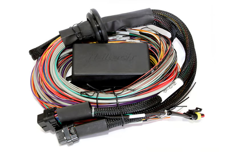 Haltech Elite 2500 + Premium Uni Wire-in Harness Kit 2.5m