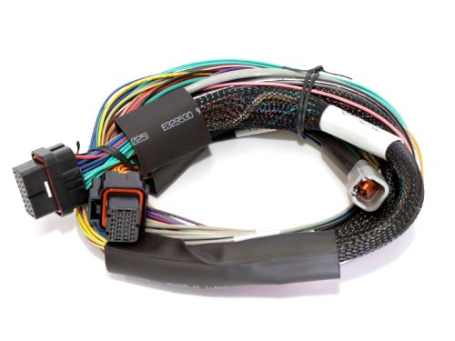 Haltech Elite 750 Basic Universal Wire-in Harness 2.5m (8) Length: 2.5m (8)