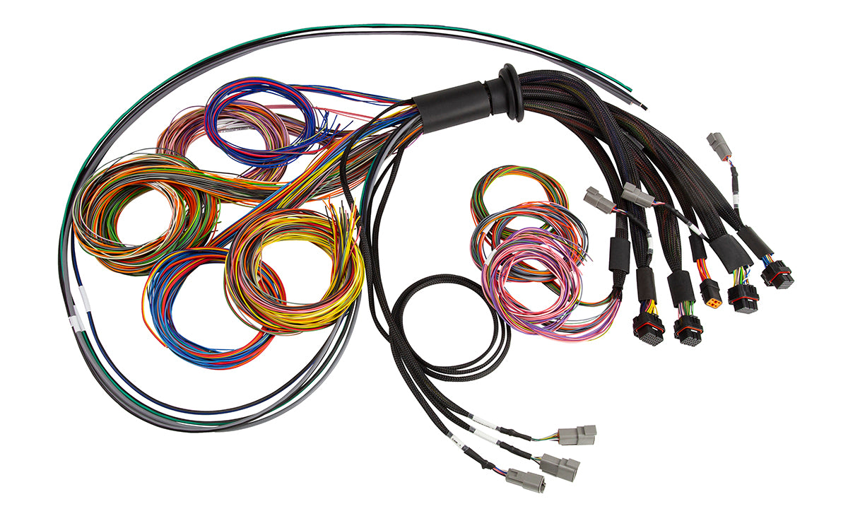 Haltech Nexus R5 Universal Wire-In harness- 5M (16) Length: 5M