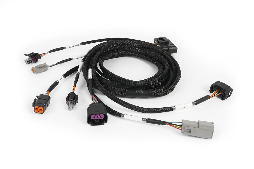 Haltech Nexus Plug-in DBW Expansion Harness 2.5m (8)