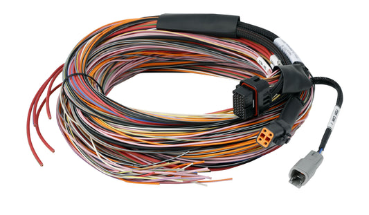 Haltech PD16 Wire-in harness - 5M / 16FT Length: 5M / 16FT