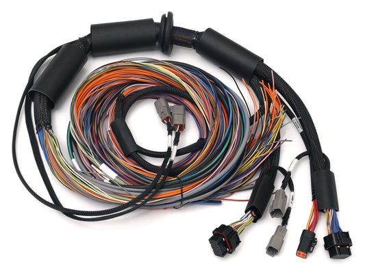 Haltech Nexus R3  Universal Wire-in Harness - 2.5m (8) Length: 2.5M