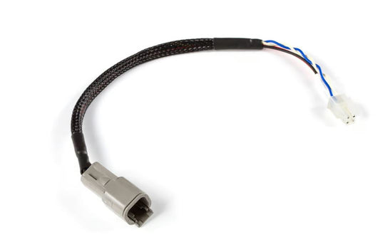Haltech CAN Adaptor Loom (DTM-4 to Minifit Jr) - Suits Microtech